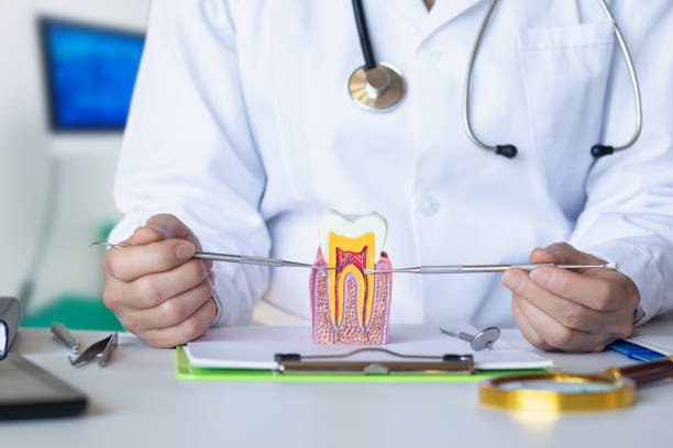 Best Broken or Cracked Tooth Emergency Dentist in Cayuga, IN